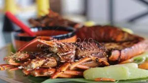 Photo de langouste
