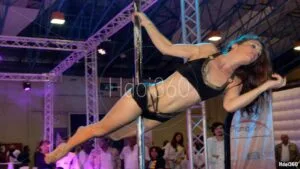 Photographie spectacle pole dance