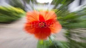 Communication visuelle florale