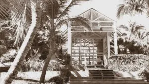Photo vieillie hotel et cocotiers