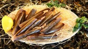 Assiette de couteaux