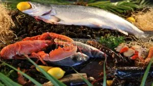 Assiette de poisson